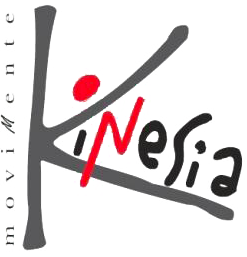 Palestra Kinesia